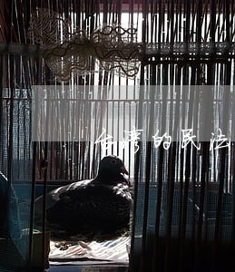 台湾的民法债编各论