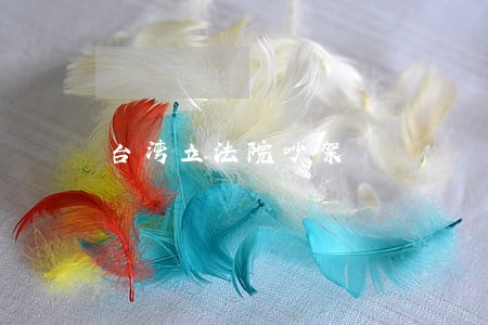 台湾立法院吵架 台湾立法院吵架