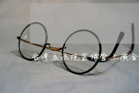 台湾立法院蓝绿营上演全武行 台湾立法院蓝绿营上演全武行