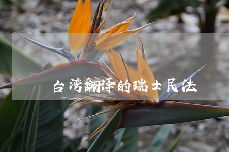 台湾翻译的瑞士民法 台湾翻译的瑞士民法