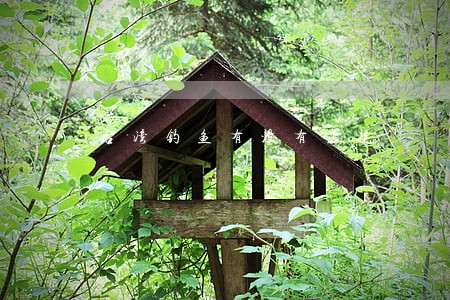 台湾钓鱼有没有法规 台湾钓鱼有没有法规