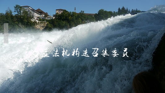 台立法机构选召集委员