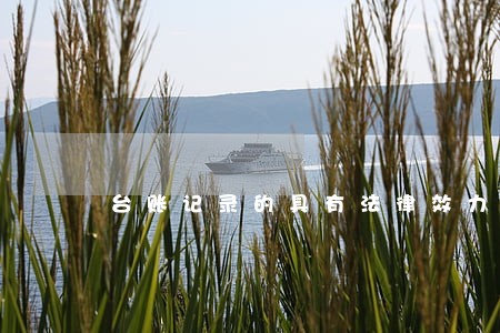 台账记录的具有法律效力吗 台账记录的具有法律效力吗