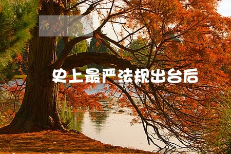 史上最严法规出台后 史上最严法规出台后