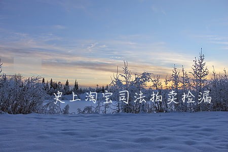 史上淘宝司法拍卖捡漏 史上淘宝司法拍卖捡漏