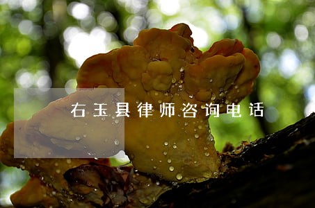 右玉县律师咨询电话 右玉县律师咨询电话