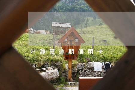 叶静慧逾期信用卡 叶静慧逾期信用卡