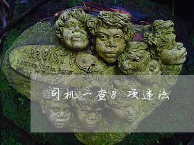 司机一查8项违法 司机一查8项违法