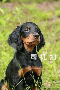 司机扣车钥匙违法吗 司机扣车钥匙违法吗