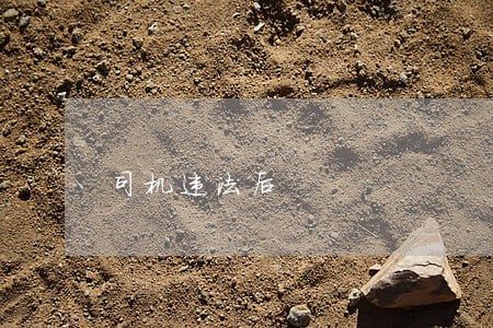 司机违法后 司机违法后