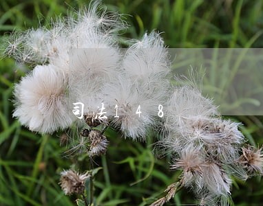 司法148