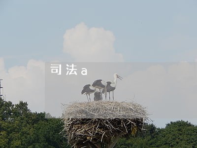 司法a 司法a