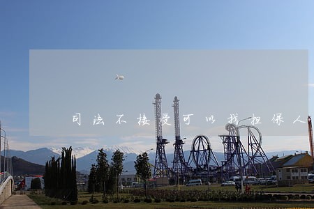 司法不接受可以找担保人吗