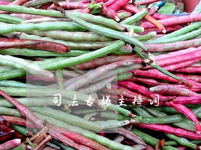 司法专场主持词 司法专场主持词