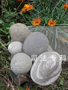 司法专科学校美术生