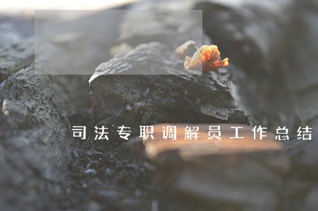 司法专职调解员工作总结 司法专职调解员工作总结