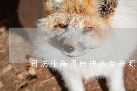 司法业务用房按资金来源 司法业务用房按资金来源