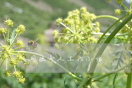 司法个人工作小结 司法个人工作小结