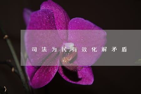 司法为民有效化解矛盾 司法为民有效化解矛盾