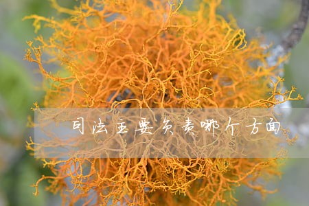 司法主要负责哪个方面 司法主要负责哪个方面