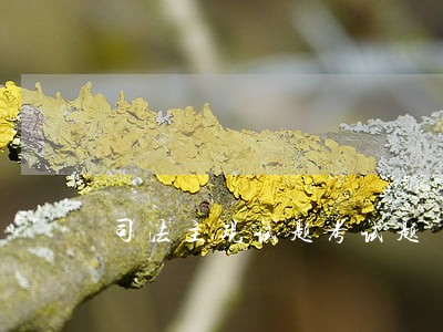司法主观试题考试题