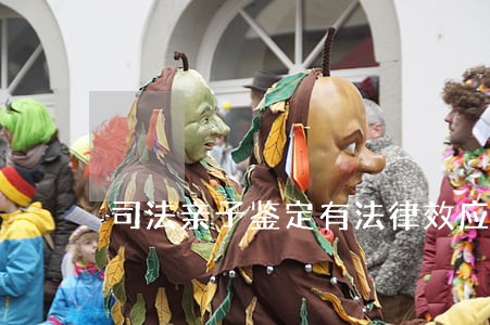 司法亲子鉴定有法律效应吗 司法亲子鉴定有法律效应吗