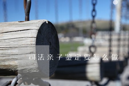 司法亲子鉴定要怎么做 司法亲子鉴定要怎么做