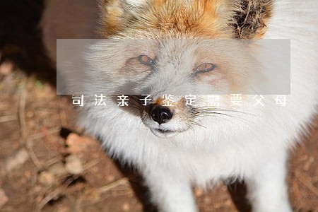 司法亲子鉴定需要父母 司法亲子鉴定需要父母