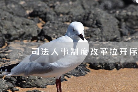 司法人事制度改革拉开序幕 司法人事制度改革拉开序幕