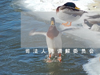 司法人民调解委员会