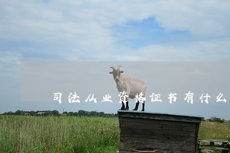 司法从业资格证书有什么用 司法从业资格证书有什么用