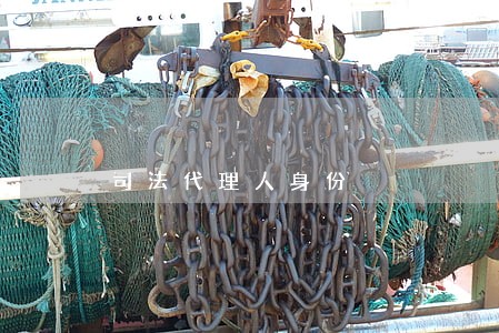 司法代理人身份
