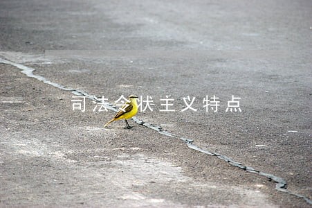 司法令状主义特点