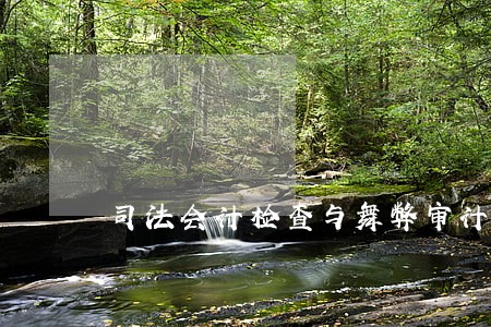 司法会计检查与舞弊审计的关系 司法会计检查与舞弊审计的关系