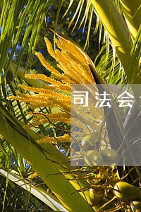 司法会计鉴定的问题研究 司法会计鉴定的问题研究