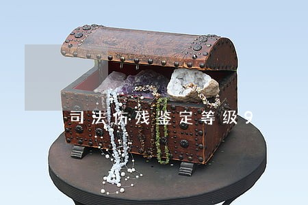 司法伤残鉴定等级9 司法伤残鉴定等级9