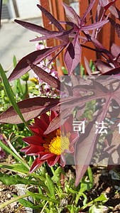 司法体制改革湖北 司法体制改革湖北