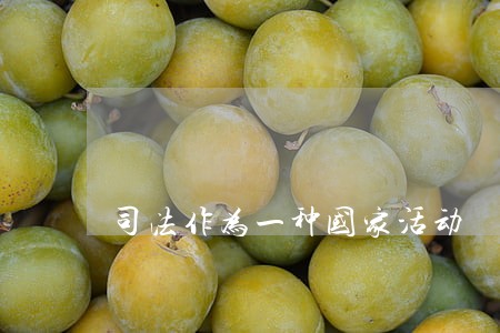 司法作为一种国家活动 司法作为一种国家活动