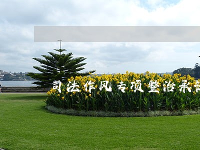 司法作风专项整治承诺书 司法作风专项整治承诺书
