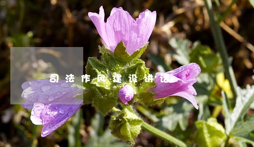 司法作风建设讲话 司法作风建设讲话