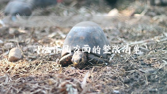 司法作风方面的整改清单 司法作风方面的整改清单
