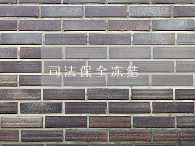 司法保全冻结 司法保全冻结