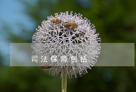 司法保障包括 司法保障包括