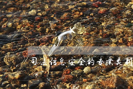 司法信息安全的专业类别 司法信息安全的专业类别