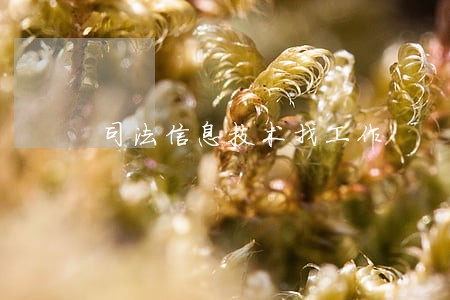 司法信息技术找工作 司法信息技术找工作