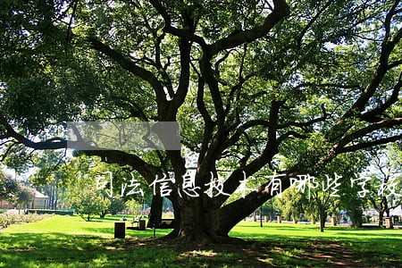 司法信息技术有哪些学校开