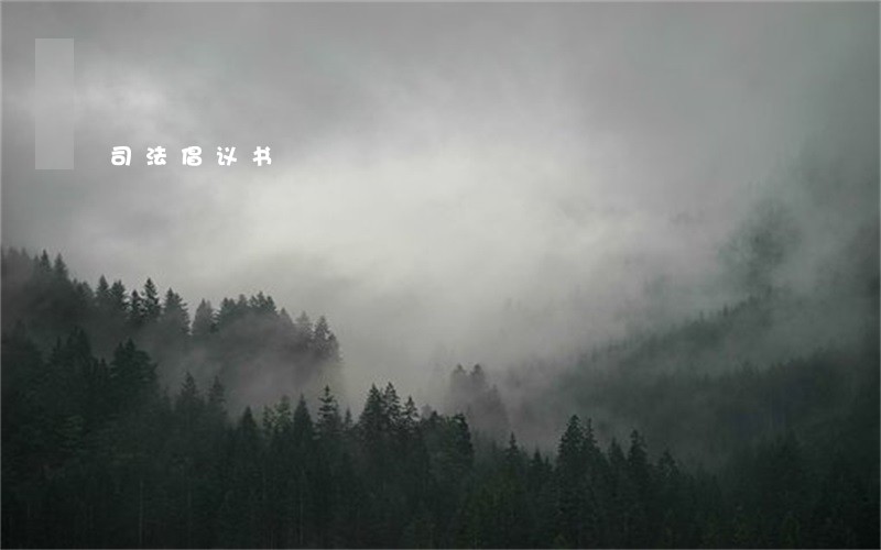 司法倡议书 司法倡议书