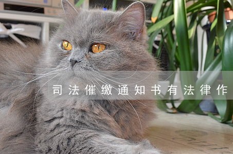 司法催缴通知书有法律作用吗 司法催缴通知书有法律作用吗