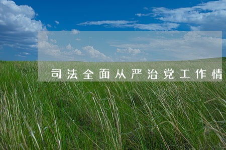 司法全面从严治党工作情况汇报 司法全面从严治党工作情况汇报
