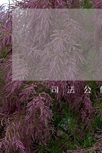 司法公信建设责任状考评整改方案 司法公信建设责任状考评整改方案